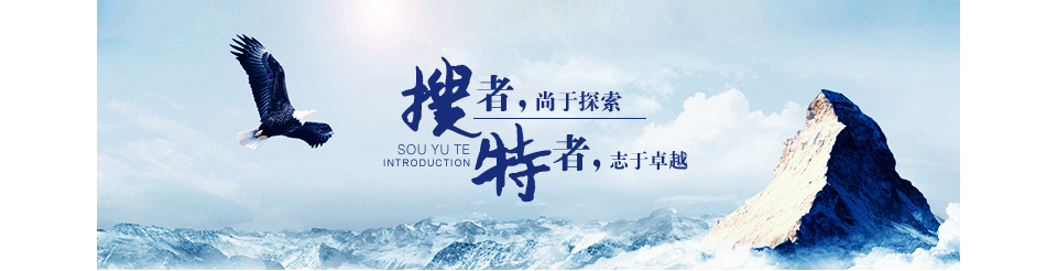 搜于特集团股份有限公司.png