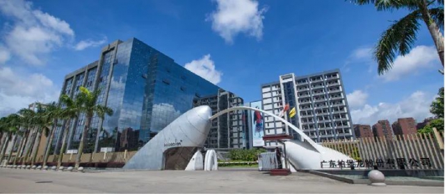 服装设计企业柏堡龙被强制退市.jpg